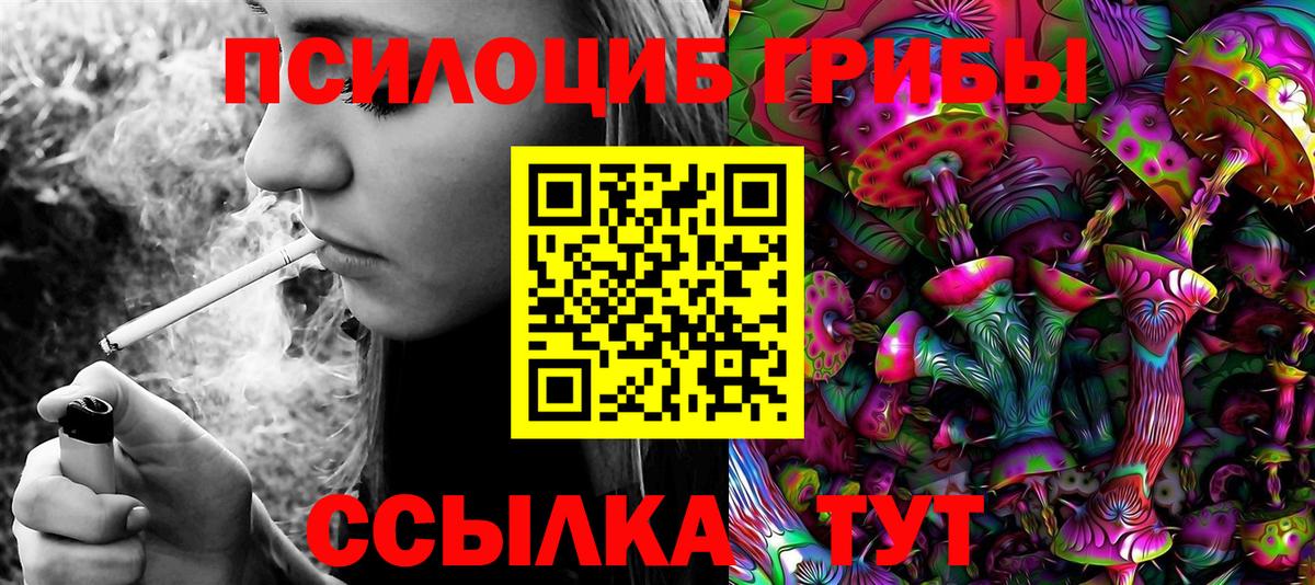 Волжский  Псилоцибиновые грибы Psilocybe  Вход с VPN 